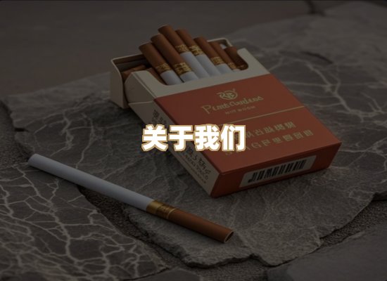 关于蓝帝网